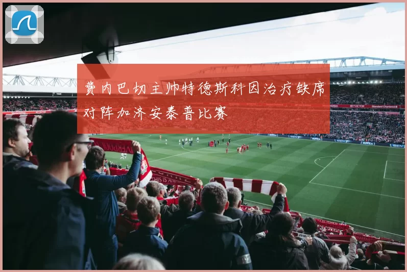 费内巴切主帅特德斯科因治疗缺席对阵加济安泰普比赛