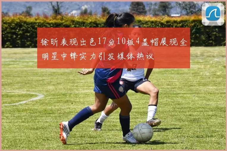 徐昕表现出色17分10板4盖帽展现全明星中锋实力引发媒体热议