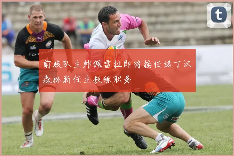 前狼队主帅佩雷拉即将接任诺丁汉森林新任主教练职务
