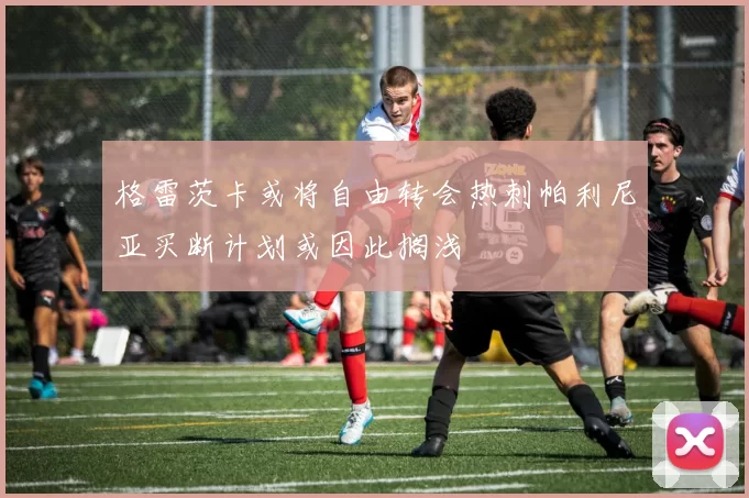 格雷茨卡或将自由转会热刺帕利尼亚买断计划或因此搁浅