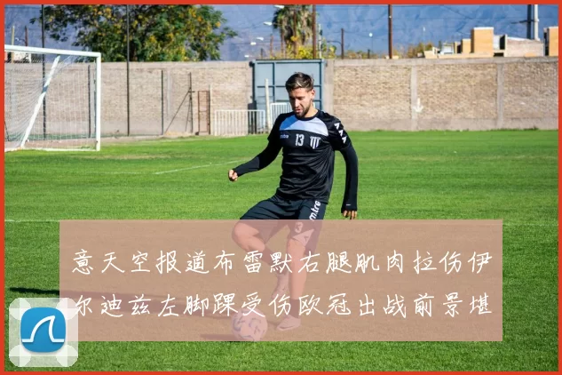 意天空报道布雷默右腿肌肉拉伤伊尔迪兹左脚踝受伤欧冠出战前景堪忧